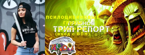 твердый Кукмор