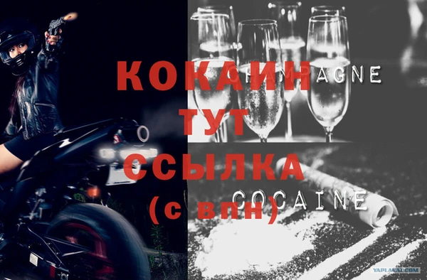 твердый Кукмор