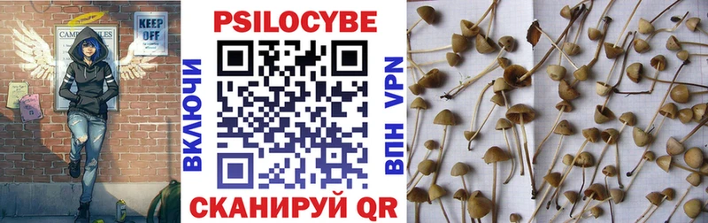 Псилоцибиновые грибы GOLDEN TEACHER  Купить где  Великий Новгород 